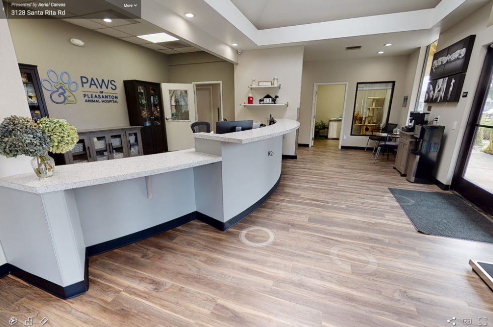 Paws Of Pleasanton Animal Hospital 07