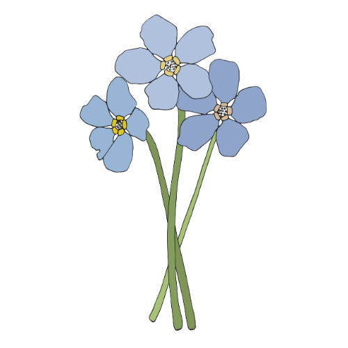 flower2