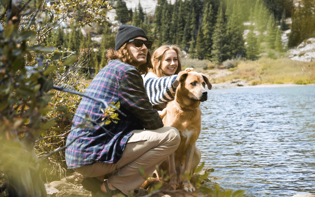 Pet Hiking Safety: Keep Your Pet Safe on the Trails This Summer