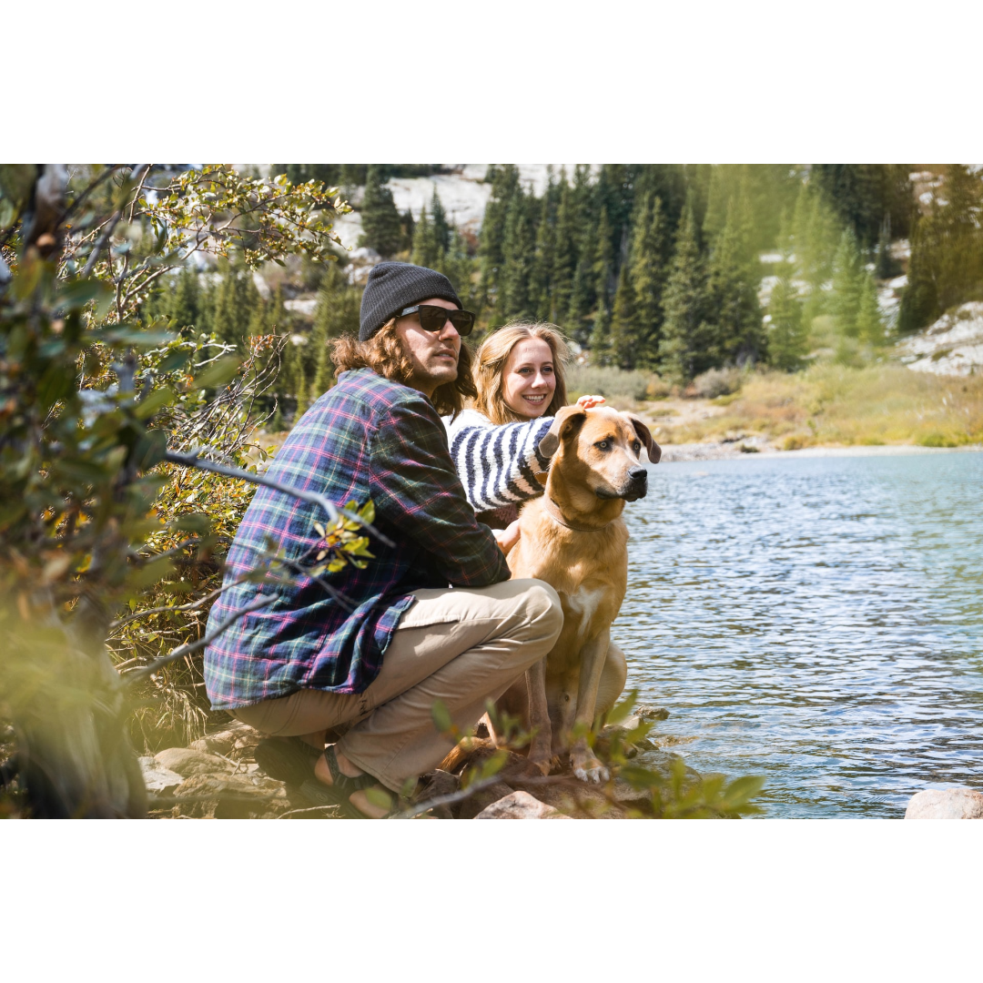 pet-hiking-safety-keep-your-pet-safe-on-the-trails-this-summer-paws