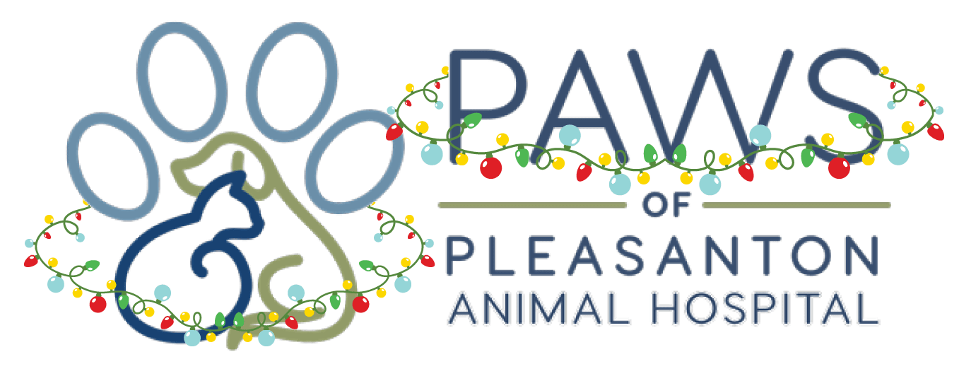 5 Halloween Pet Safety Tips Paws of Pleasanton Animal Hospital